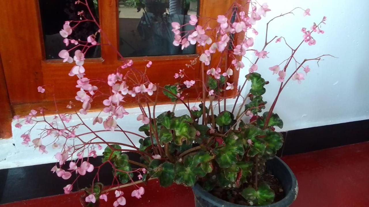Secret Nest Homestay 엘라 외부 사진