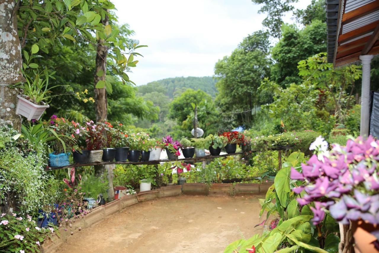 Secret Nest Homestay 엘라 외부 사진